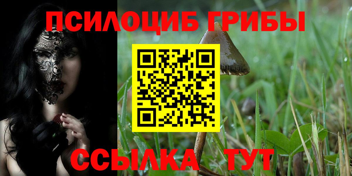 Химки  Галлюциногенные грибы Psilocybine cubensis  Вход с VPN 